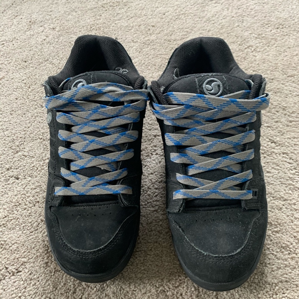 DVS snow series